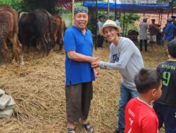 Masbibie Farm Sediakan Hewan Kurban, Berdayakan Peternak Lokal