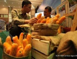 Kemenperin Dorong IKM untuk Bantu Percepat Diversifikasi Pangan