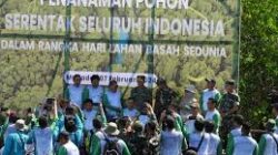 PLN Memperingati Hari Lingkungan Hidup Sedunia dengan Penanaman Mangrove di Sulawesi Utara