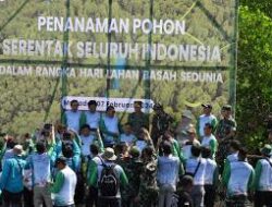 PLN Memperingati Hari Lingkungan Hidup Sedunia dengan Penanaman Mangrove di Sulawesi Utara