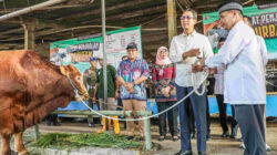 Pj Gubernur Heru Pastikan Kesiapan Fasilitas Pemotongan Hewan di RPH Dharma Jaya