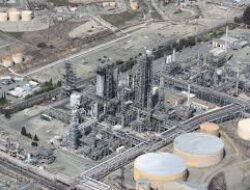 Pemerintah dan Kadin Diskusikan Implementasi Kebijakan Harga Gas Bumi dan DMO