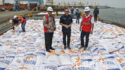 Dugaan Mark Up Impor Beras: Bapanas dan Bulog Bantah Terlibat