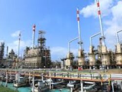 PT Kilang Pertamina Internasional (KPI) Unit Plaju Mendorong Ekonomi Desa Melalui Program Mina Padi