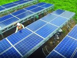 Semen Indonesia dan PLN Berkomitmen pada Industri Hijau untuk Masa Depan Berkelanjutan