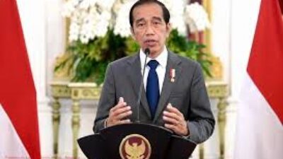 Jokowi Respon Polemik Syarat Pencalonan Kepala Daerah: Hormati Proses Konstitusional