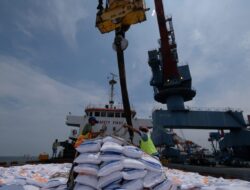 Bapanas Umumkan Alasan Kenaikan Impor Beras 2024, Hadapi Penurunan Produksi dan Kenaikan Konsumsi