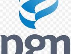 PGN Perkuat Pasokan Gas Bumi untuk Sektor Kelistrikan