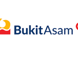 PT Hasnur International Shipping Tbk: Optimisme Pertumbuhan di Sektor Pelayaran