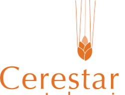 Diversifikasi Produk PT Cerestar Indonesia Tbk: Strategi Pertumbuhan Berkelanjutan.
