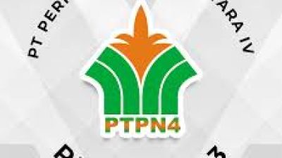 PTPN IV PalmCo Sukses Ekspor 14.499 Ton CPO, Sumbang Devisa 13,15 Juta USD