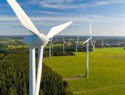 Indonesia Targetkan 5 GW Kapasitas Pembangkit Listrik Tenaga Bayu pada 2030