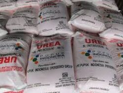 Pupuk Indonesia Dorong Penyerapan Pupuk Bersubsidi untuk Ketahanan Pangan.