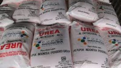 Pupuk Indonesia Dorong Penyerapan Pupuk Bersubsidi untuk Ketahanan Pangan.