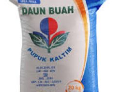 Pupuk Kaltim: Mendorong Inovasi untuk Daya Saing dan Keberlanjutan Bisnis