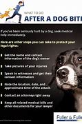Content image for dog bite attorney san bernardino