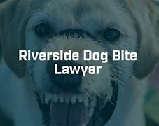 Content image for riverside dog bite attorney