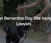 Content image for san bernardino dog bite attorneys
