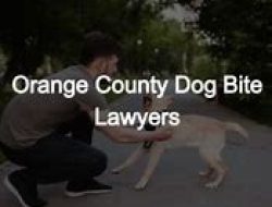 orange county dog bite attorneys