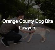 Featured image for orange county dog bite attorneys