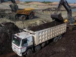 Harga Batubara Diprediksi Naik: Perusahaan Perlu Strategi Jitu