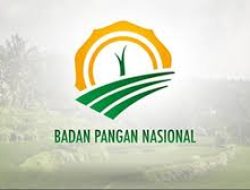 Tingginya Harga Beras di Indonesia: Sorotan Terhadap Badan Pangan Nasional (Bapanas)