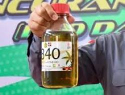 Tantangan dan Peluang Program Biodiesel B40 di Indonesia