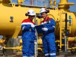 Tantangan dan Prospek Bisnis PT Perusahaan Gas Negara Tbk (PGAS) di Tengah Risiko Kekurangan Pasokan Gas