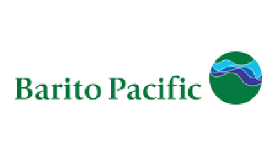 PT Barito Pacific Tbk: Ekspansi Ambisius di Sektor Properti dan Energi Terbarukan
