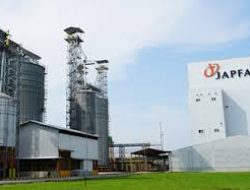 PT Japfa Comfeed Indonesia Tbk Siap Bagikan Dividen Interim Rp 813,93 Miliar