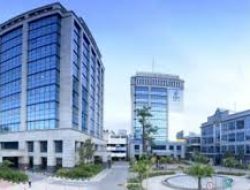 Kinerja Solid PT Perusahaan Gas Negara Tbk (PGAS) di Semester I-2024: Peluang Penjualan LNG yang Meningkat