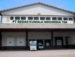 Target dan Kinerja PT Segar Kumala Indonesia Tbk (BUAH) di 2024