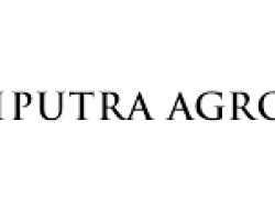 Kinerja Positif PT Triputra Agro Persada Tbk (TAPG) di Kuartal III 2024