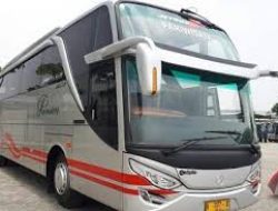 PT Weha Transportasi Indonesia Tbk. (WEHA): Ekspansi dan Peningkatan Kinerja yang Mengesankan