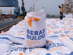 Usulan Transformasi Bulog Menjadi Badan Otonom: Memperkuat Fungsi Stabilisasi Pangan Nasional