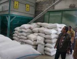 Bapanas Antisipasi Kenaikan Harga Beras dengan Cadangan Beras 1,7 Juta Ton