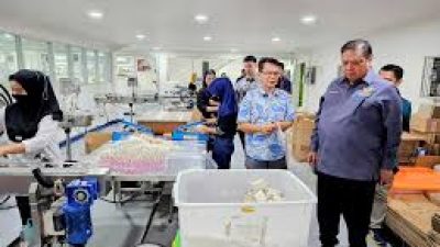 Industri Kosmetik Indonesia Tetap Tumbuh Solid Meski Tantangan Ekonomi Global