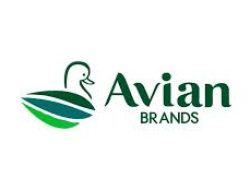 PT Avia Avian (AVIA) Fokus Perkuat Infrastruktur dan Peningkatan Kapasitas Produksi