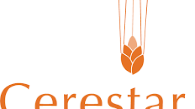 PT Cerestar Indonesia Tbk: Pertumbuhan Pendapatan yang Menggembirakan di Kuartal III 2024