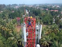 PT Tower Bersama Infrastructure (TBIG) Catatkan Kinerja Positif di Kuartal III 2024