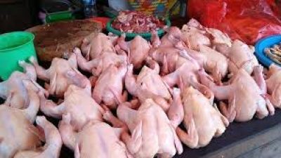 Harga Komoditas di DKI Jakarta 9 November 2024: Beberapa Komoditas Mengalami Penurunan