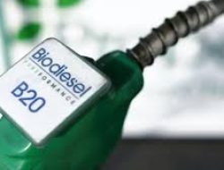 Harga Biodiesel Desember 2024 Naik Jadi Rp 14.389 per Liter