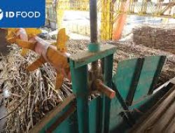 ID FOOD Catatkan Kenaikan Signifikan dalam Produksi Gula Nasional di 2024