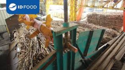 ID FOOD Catatkan Kenaikan Signifikan dalam Produksi Gula Nasional di 2024