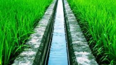 Pemerintah Siapkan Instruksi Presiden untuk Perbaikan Irigasi Sawah, Anggaran Rp 15 Triliun pada 2025