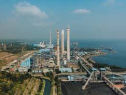 Celios Ungkap Potensi 19 PLTU PLN untuk Pertukaran Utang dalam Transisi Energi