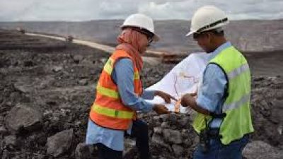 BUMI Targetkan Peningkatan Produksi Batubara Hingga 80 Juta Ton pada 2025