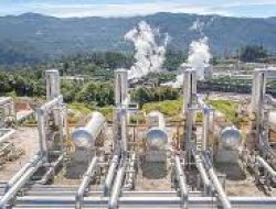 PT Medco Energi Internasional (MEDC) Siap Menyongsong 2025 dengan Ekspansi Bisnis Migas dan Ketenagalistrikan