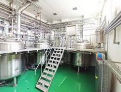 PT Industri Jamu dan Farmasi Sido Muncul Tbk (SIDO) Targetkan Pertumbuhan Kinerja Low Double Digit dan Alokasikan Capex Rp 150 Miliar-Rp 175 Miliar di 2025