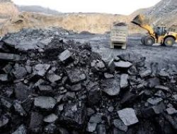 Harga Batubara Global Terus Menurun, Prospek 2025 Terlihat Menantang Bagi Emiten